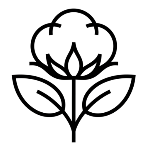 Black line drawing of a cotton flower on a white background for ZM Textiles Belgium.